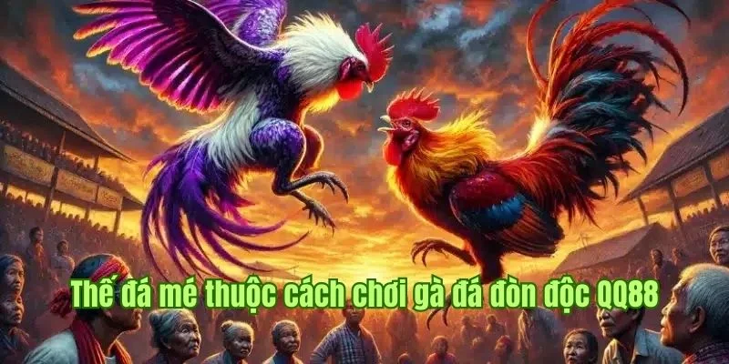 Tìm hiểu về thế đá mé thuộc cách chơi gà đá đòn độc QQ88